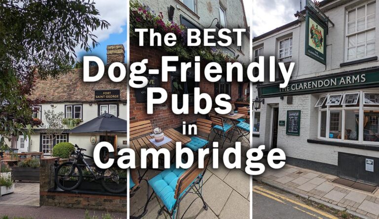 Cambridge’s 11 TOP Dog Friendly Pubs (by a Local!)